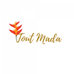 Tout Mada-logo